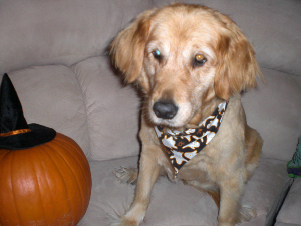 Christie and pumkin resized 600