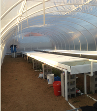 Aquaponics mex clean floors resized 600