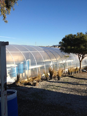 aquaponics mex greenhouse complete resized 600