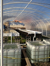 Aquaponics interior Mexico resized 600