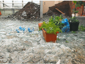 broken glass greenhouse