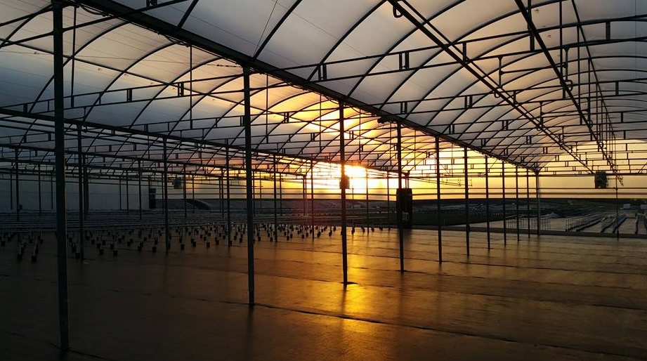 Greenhouse plastic SolaWrap