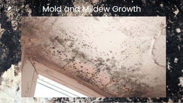 Crawl space mold   Call  GPS  866 597 9298