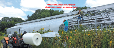 Greenhouse Plastic Greenhouse Covering Clear Plastic Film