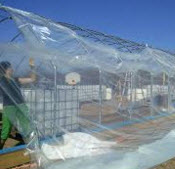 Greenhouse_plastic-1.jpg