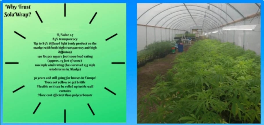 Growing In a SolaWrap Greenhouse-jpg