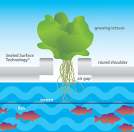 Lettuce rafts sealed surface technology