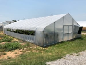 Oklahoma greenhouse 2