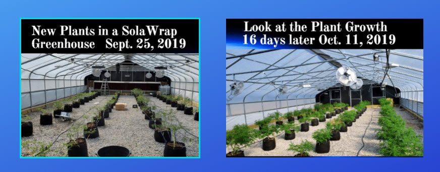Plant Growth in a SolaWrap Greenhouse plastic greenhouse