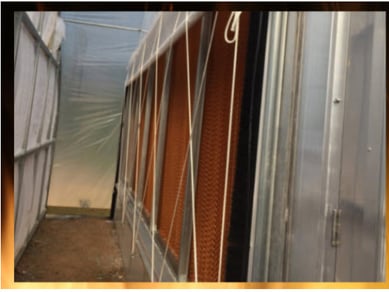 SOFT WALL EVAPORATIVE WALL CURTAIN