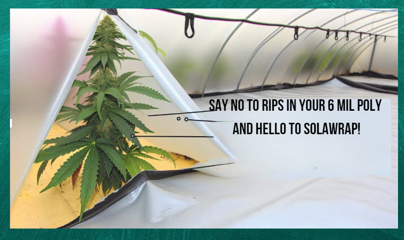 SolaWrap  Stronger Cannabis Greenhouse Film