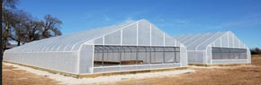 Can you grow cannabis in a greenhouse
