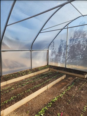 Greenhouse kit 760 597 9298