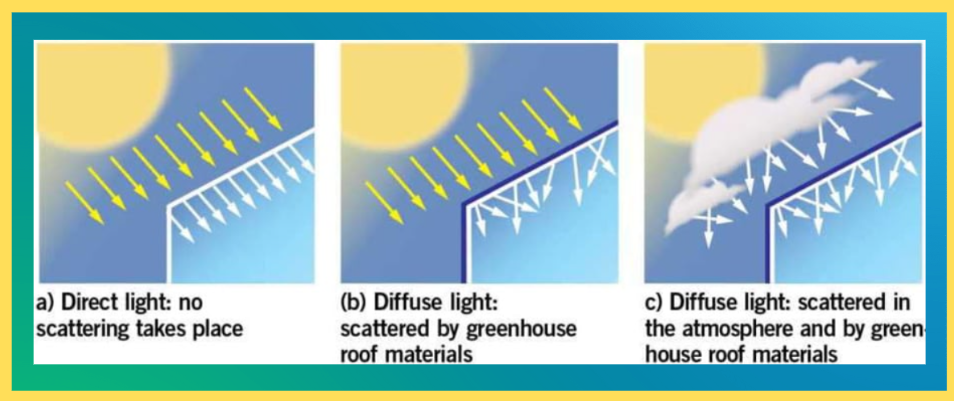 Blogging Plastic Sheeting | Greenhouse light diffusion