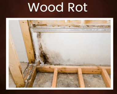 wood rot in your crawlw space