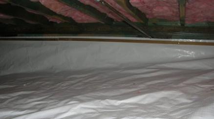 20 mil plastic sheeting- White String Reinforced