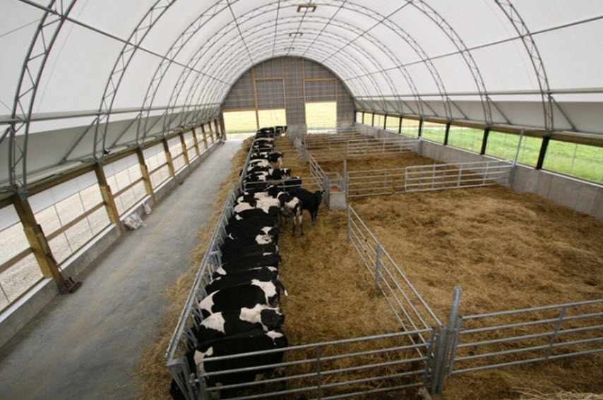 Fabric Covered Cattle Buildings &amp; Equine Riding Arenas