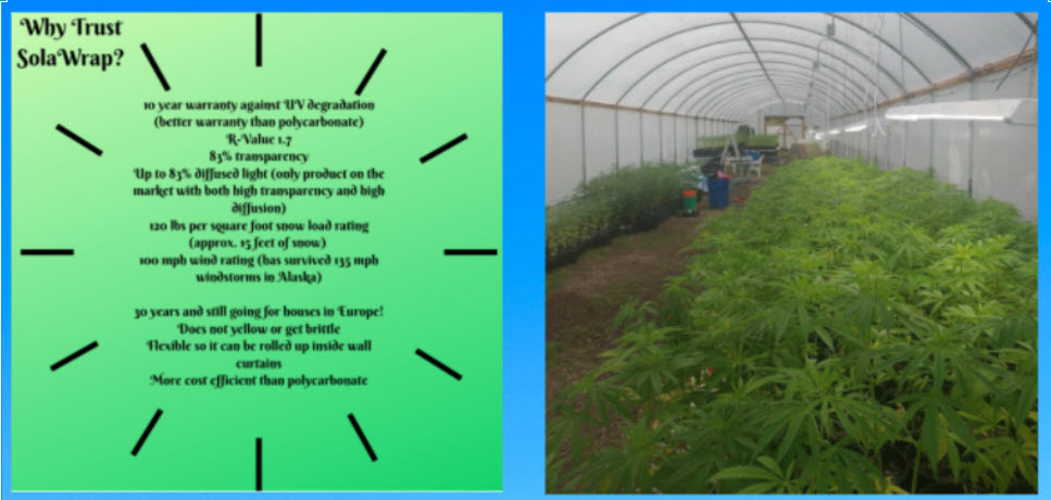 Growing Hemp In a SolaWrap Greenhouse