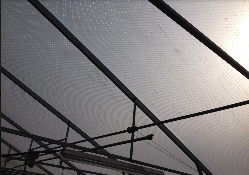 20 year old SolaWrap Greenhouse Film Still Going Strong