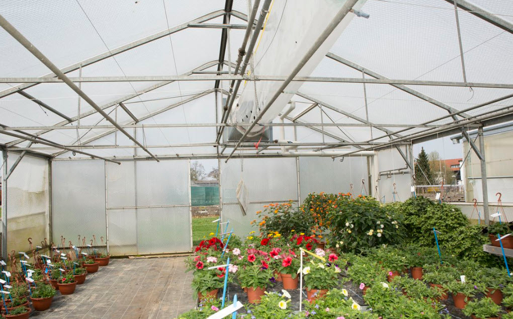 Greenhouse Plastic SolaWrap