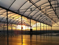 SolaWrap Greenhouse Plastic Delivers Significant Energy Savings 