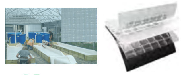 String Reinforced plastic sheeting Call GPS 760 5 97 9298