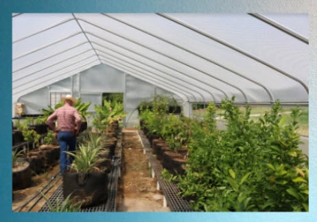 The Bubble Plastic for the Greenhouse SolaWrap Greenhouse