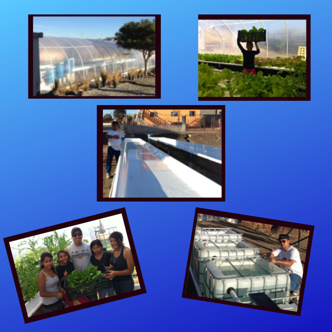 Aquaponics Worldwide! A Project in Mexico